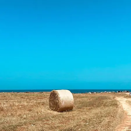 Casetta Gina דירה אוסטוני